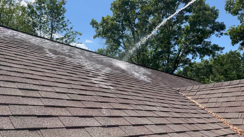 Soft Roof Washing